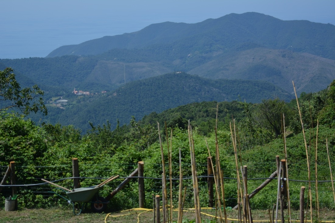 dsc-0350_orig
