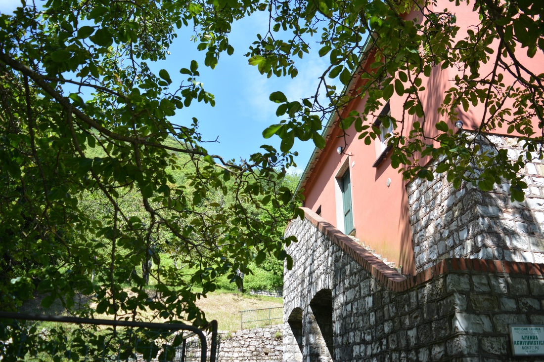 dsc-0453_orig