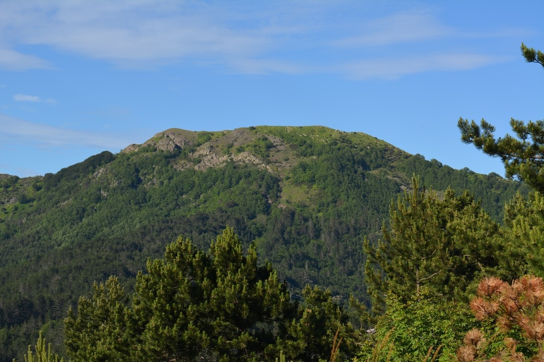 dsc-0731_1_orig