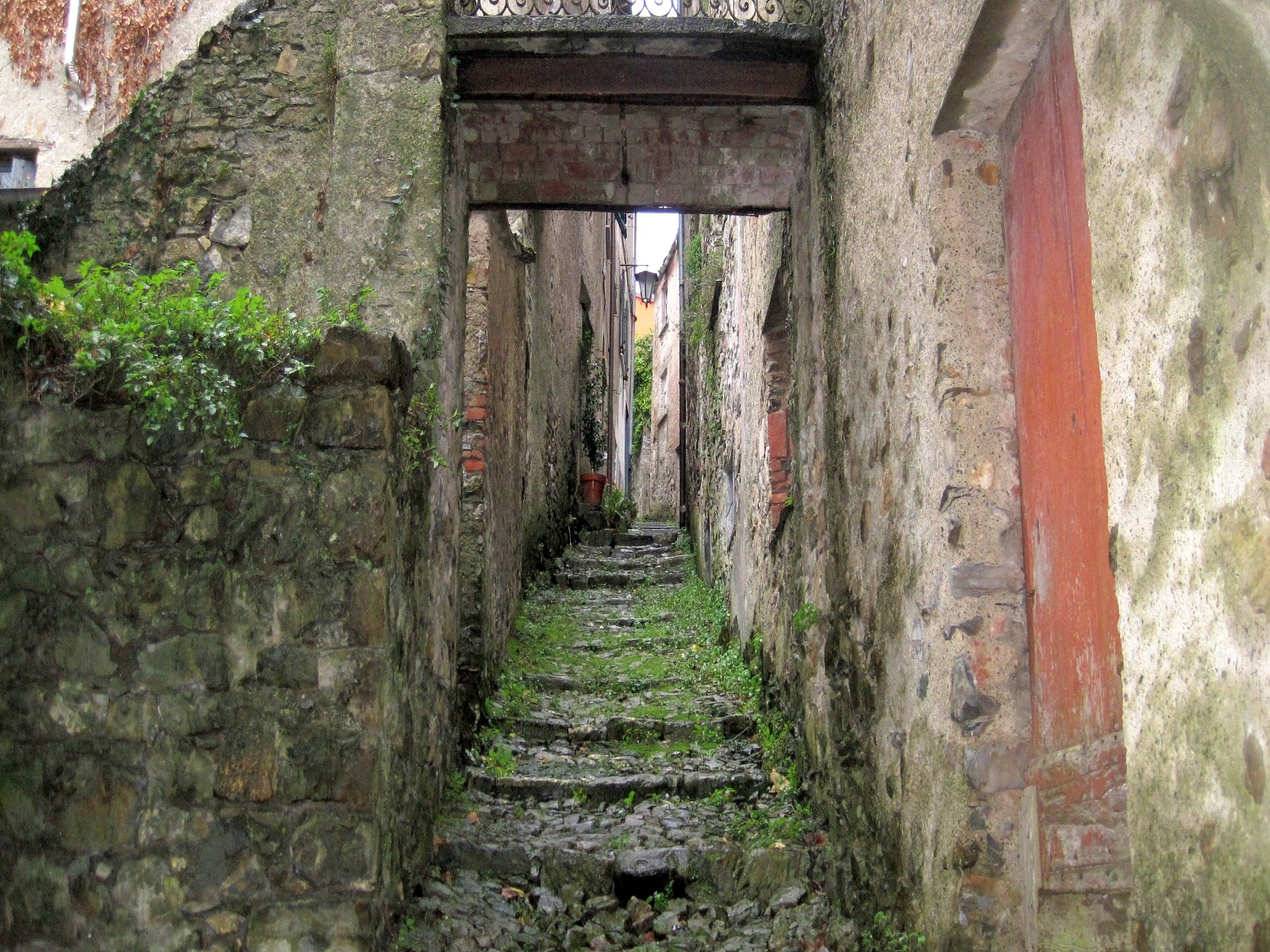 immagine-in-evidenza-2.JPG